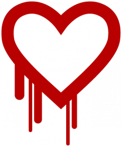 Heartbleed Bug: What Should You Do?